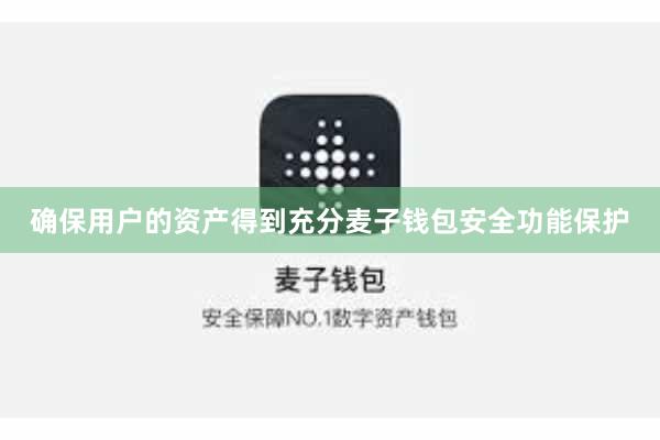 确保用户的资产得到充分麦子钱包安全功能保护