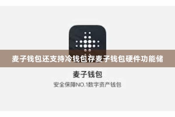 麦子钱包还支持冷钱包存麦子钱包硬件功能储