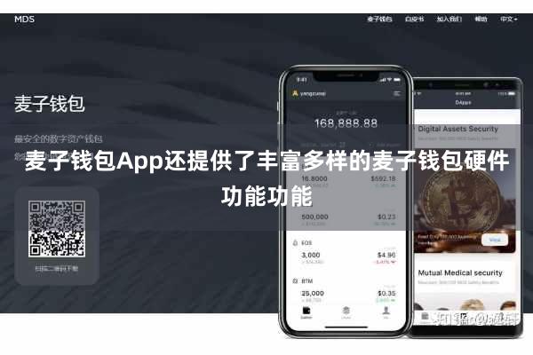 麦子钱包App还提供了丰富多样的麦子钱包硬件功能功能