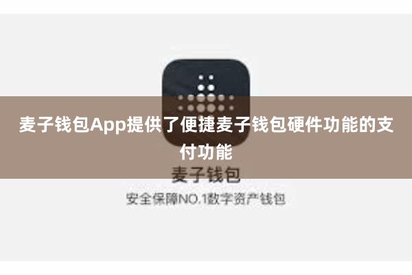 麦子钱包App提供了便捷麦子钱包硬件功能的支付功能