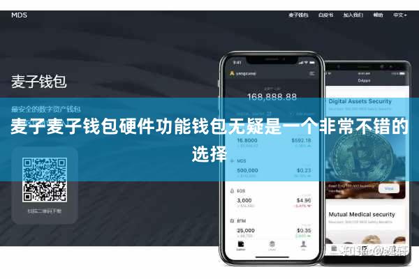 麦子麦子钱包硬件功能钱包无疑是一个非常不错的选择