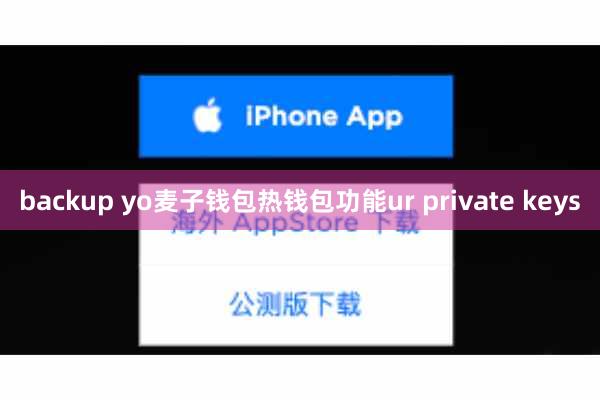 backup yo麦子钱包热钱包功能ur private keys