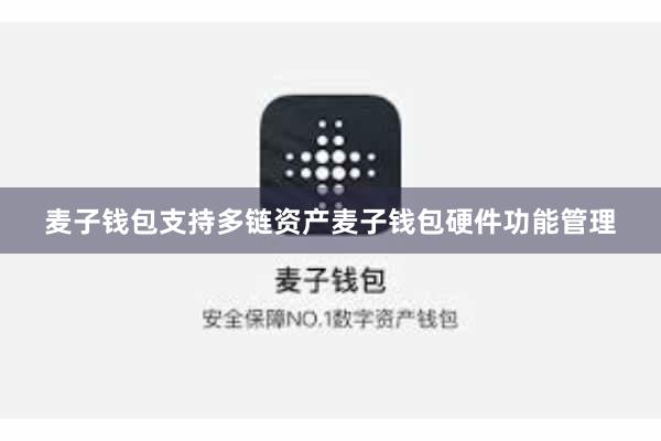 麦子钱包支持多链资产麦子钱包硬件功能管理