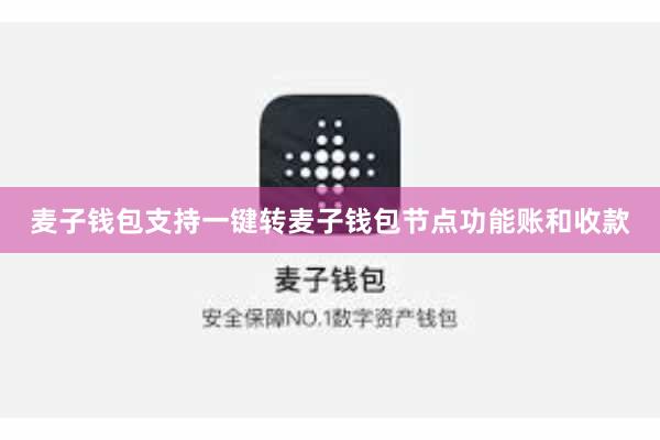 麦子钱包支持一键转麦子钱包节点功能账和收款