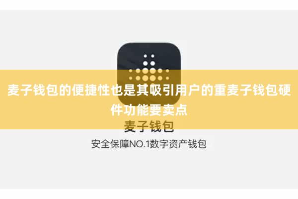 麦子钱包的便捷性也是其吸引用户的重麦子钱包硬件功能要卖点