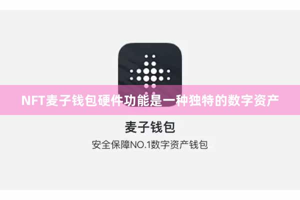 NFT麦子钱包硬件功能是一种独特的数字资产