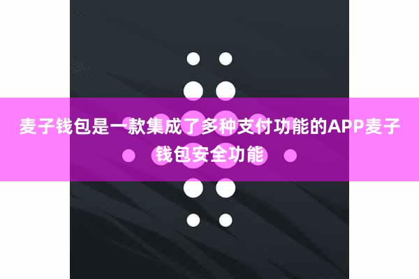 麦子钱包是一款集成了多种支付功能的APP麦子钱包安全功能