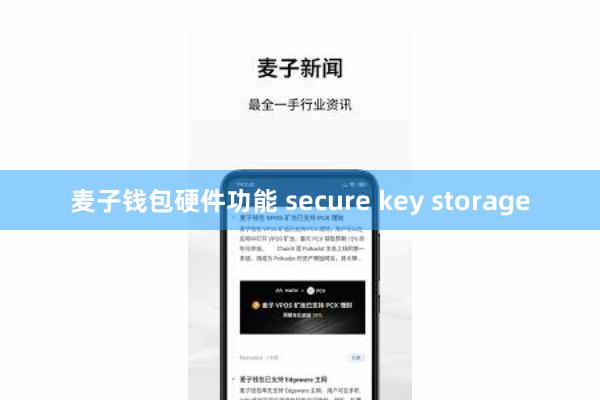 麦子钱包硬件功能 secure key storage