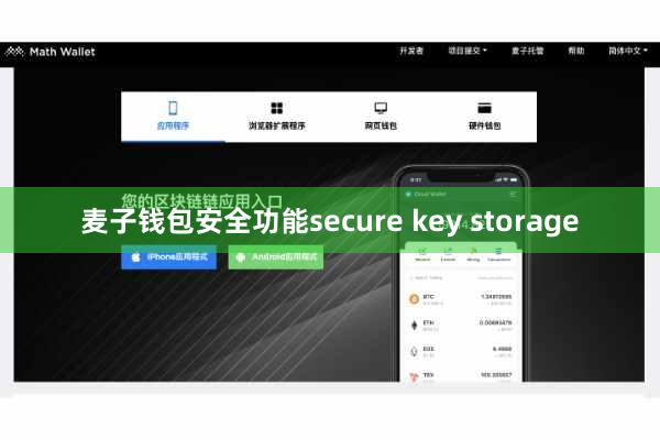麦子钱包安全功能secure key storage
