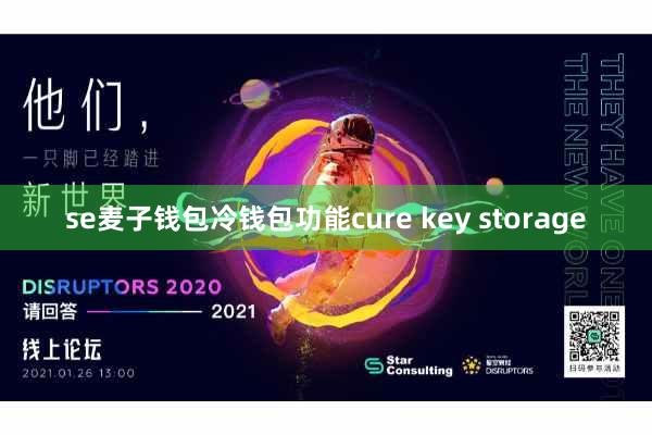 se麦子钱包冷钱包功能cure key storage
