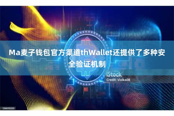 Ma麦子钱包官方渠道thWallet还提供了多种安全验证机制