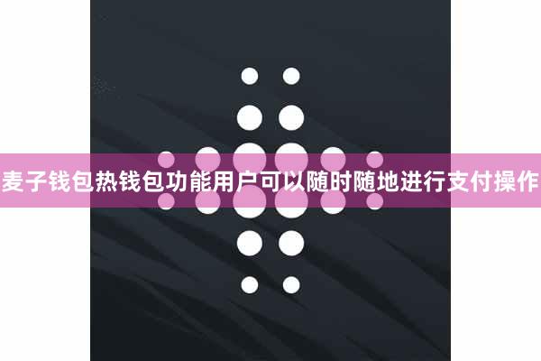 麦子钱包热钱包功能用户可以随时随地进行支付操作