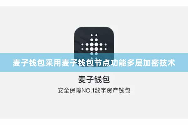 麦子钱包采用麦子钱包节点功能多层加密技术