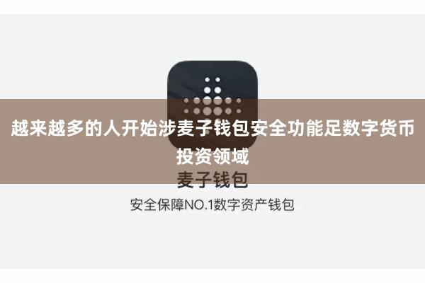 越来越多的人开始涉麦子钱包安全功能足数字货币投资领域
