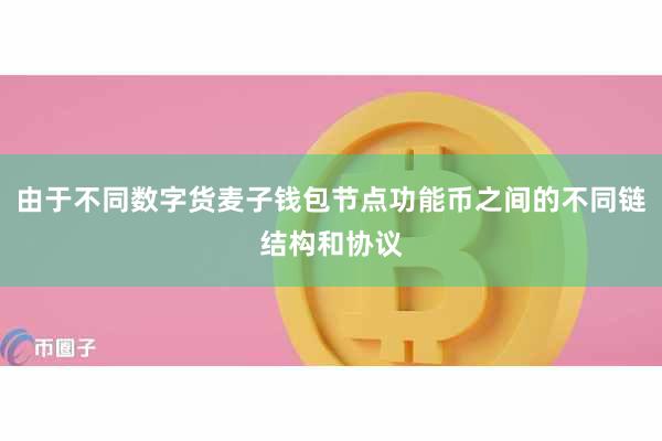 由于不同数字货麦子钱包节点功能币之间的不同链结构和协议