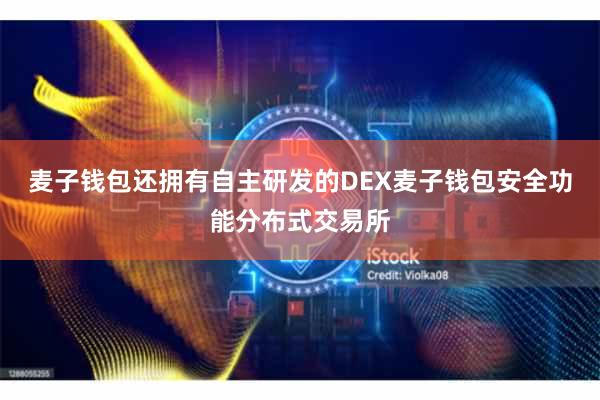 麦子钱包还拥有自主研发的DEX麦子钱包安全功能分布式交易所