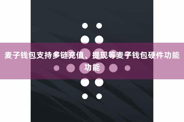 麦子钱包支持多链充值、提现等麦子钱包硬件功能功能