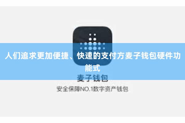 人们追求更加便捷、快速的支付方麦子钱包硬件功能式