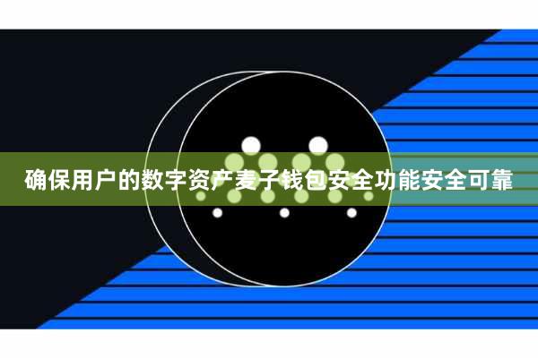 确保用户的数字资产麦子钱包安全功能安全可靠